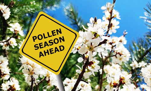 pollen season ahead with flower blooming
